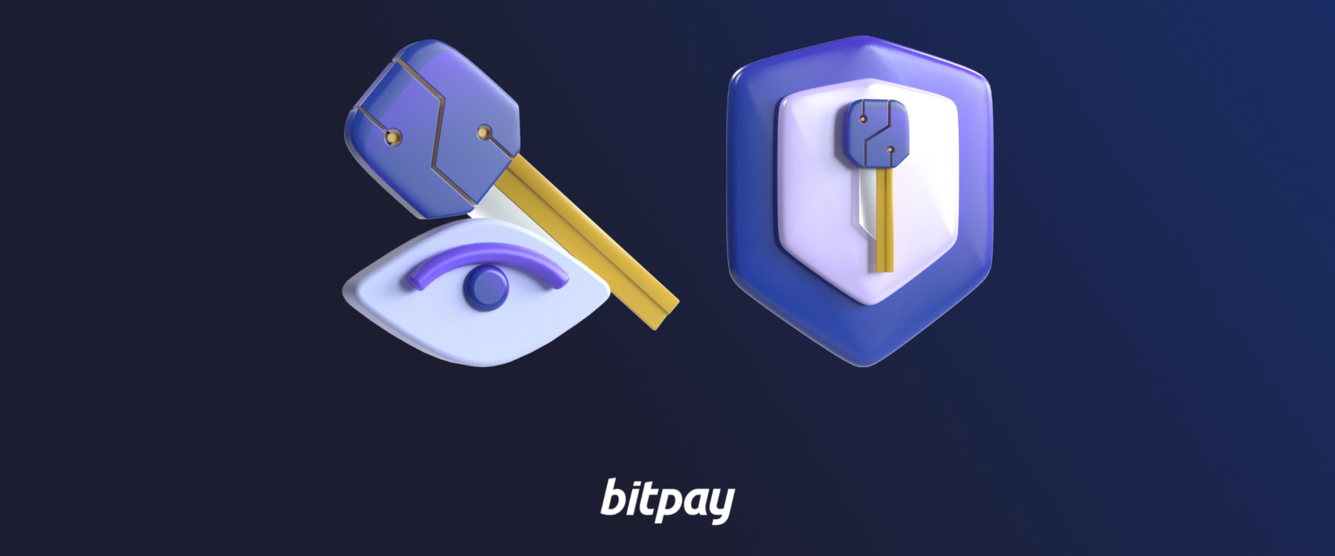 Understanding Public Keys in Crypto Trading